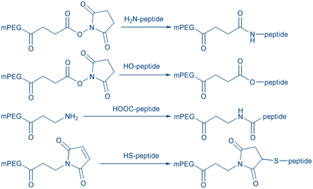 Pegylated Peptides