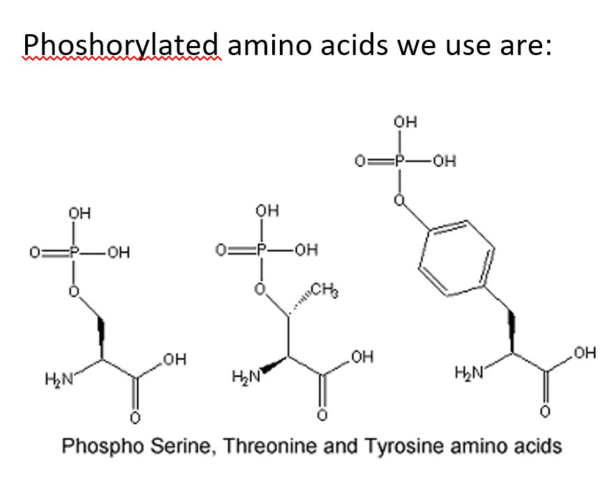 Phoshorylated